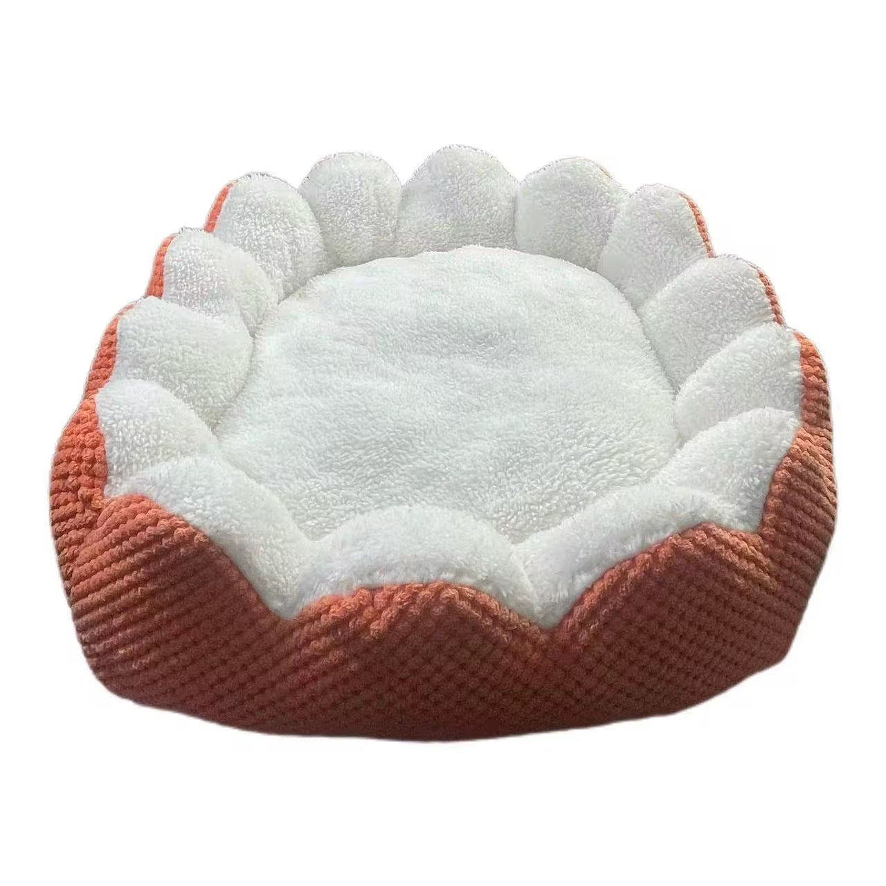 Bed for Your Cat