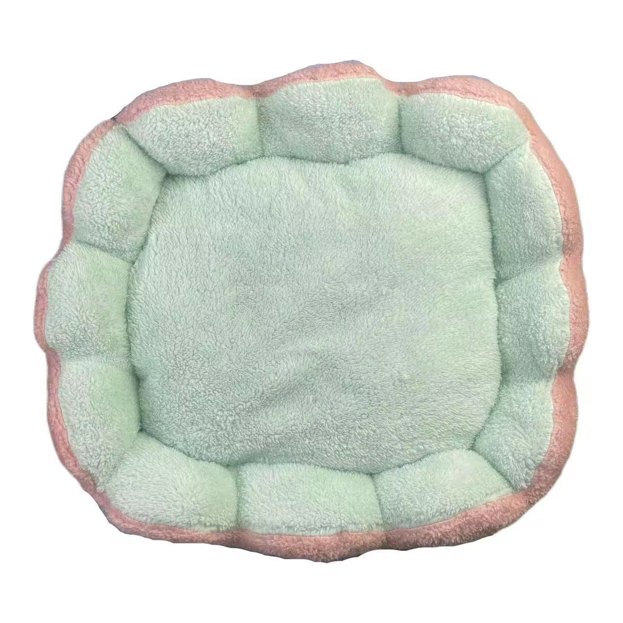 Bed for Your Cat