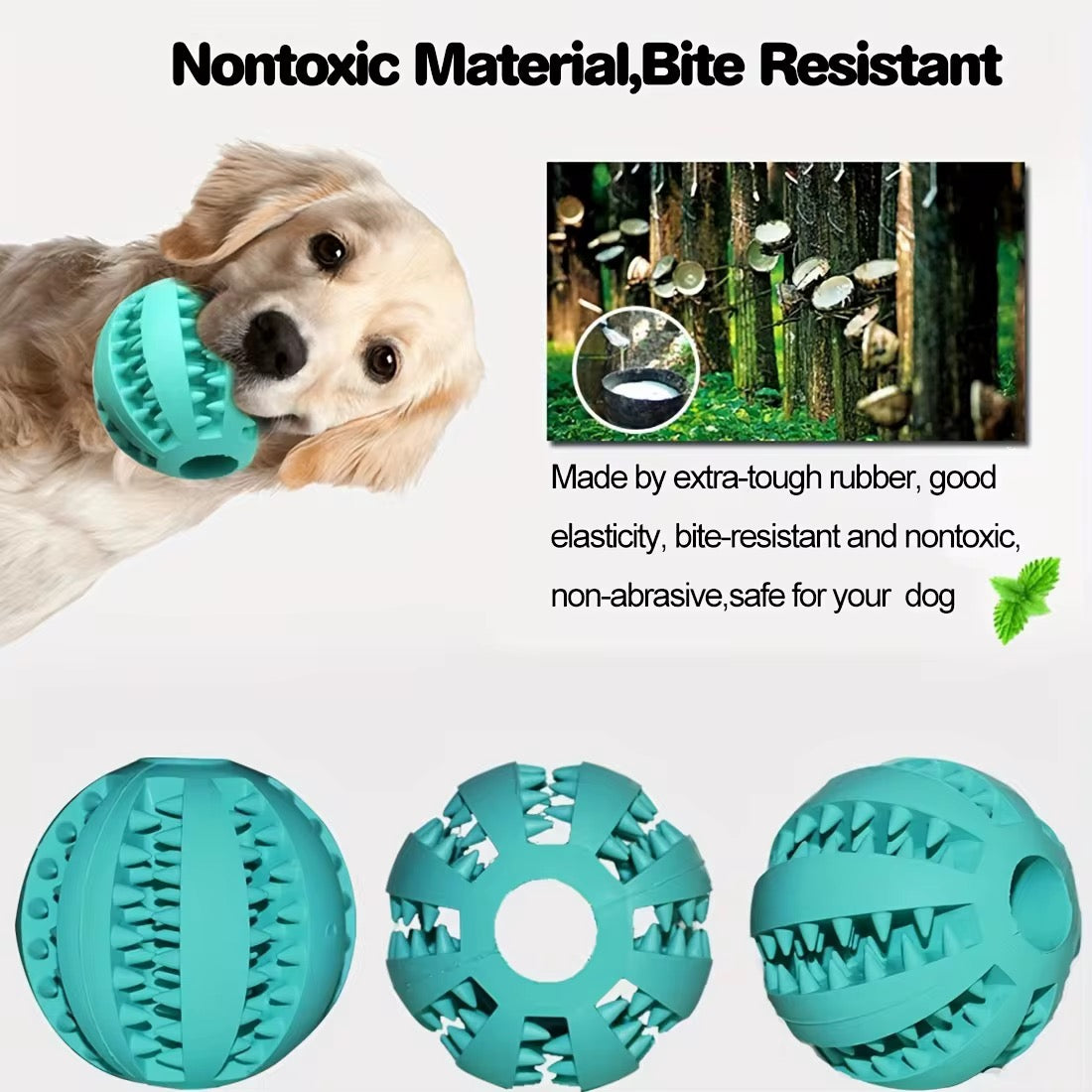 Treat Dispenser- set of 2