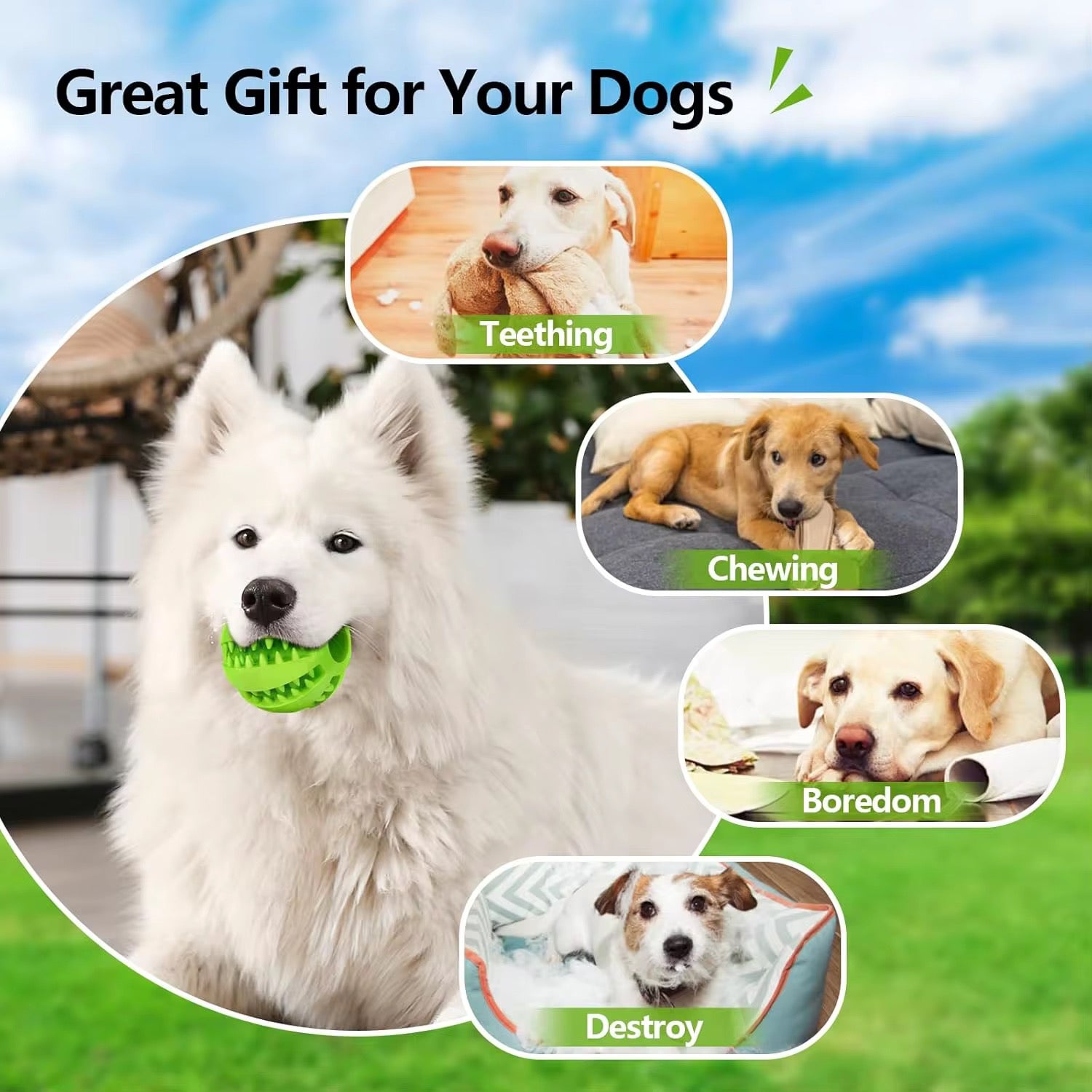 Treat Dispenser- set of 2